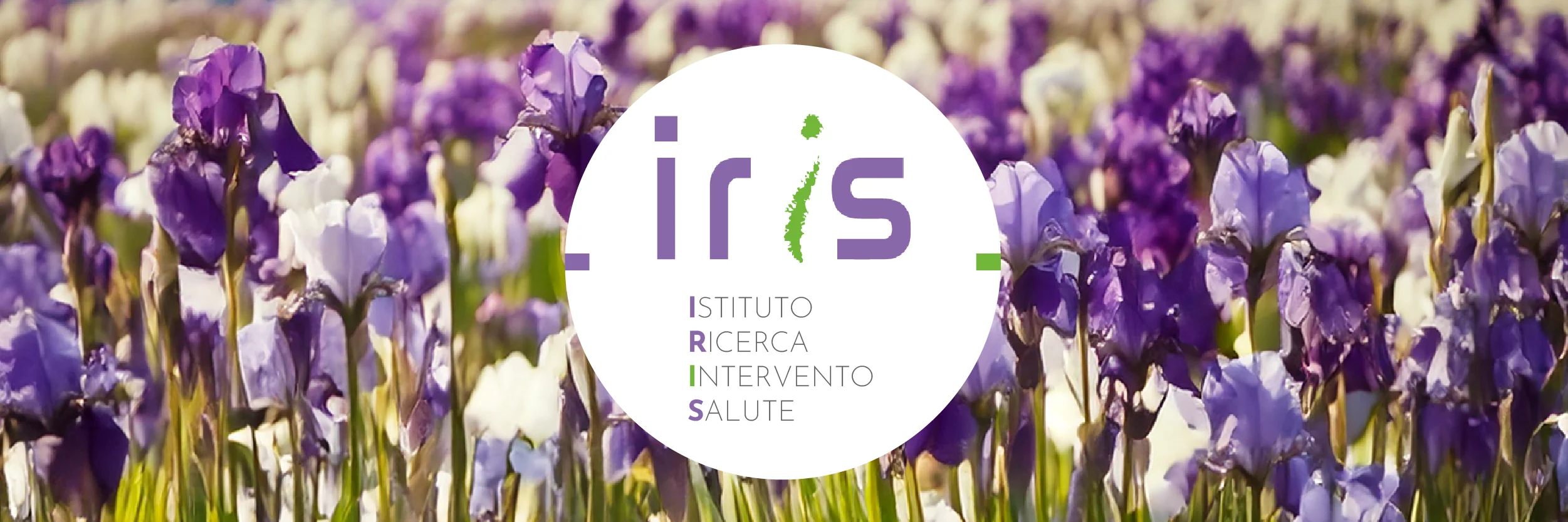 ricerca e formazione nel percorso nascita iris